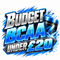 Budget BCAA under £20