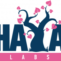 Collection image for: Haya Labs