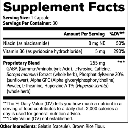 Project M Cognitive Support (US Import)